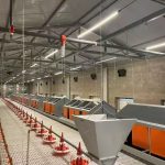Common Feeder and Drinker Problems in Poultry Farming and How to Solve Them